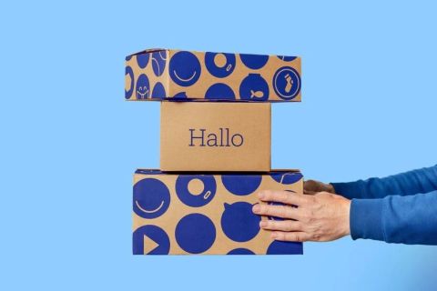 荷兰审计师如何评估内部控制的有效性？