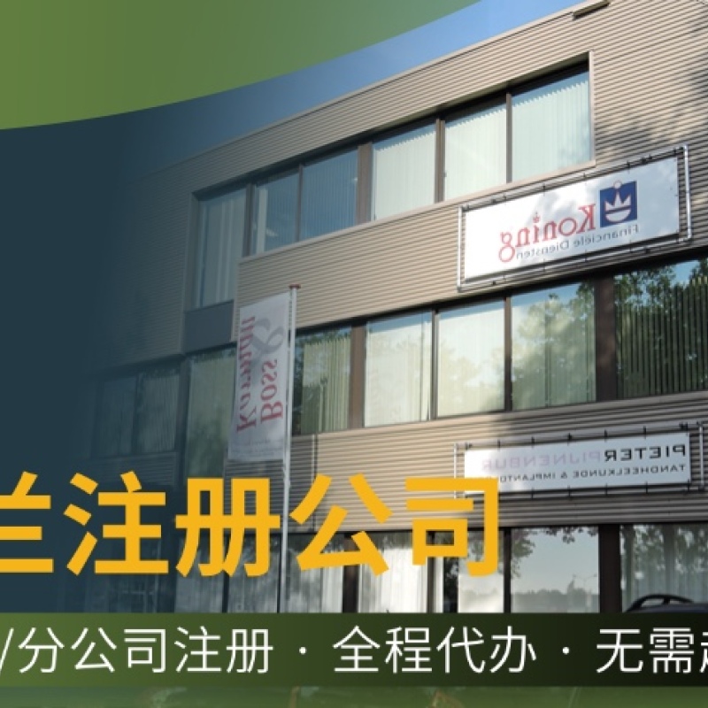 荷兰公司注册全解析 | 2025最新流程与避坑指南​
