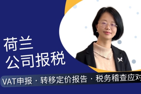 荷兰公司报税全流程指南 | 2025最新政策解读与避坑策略​