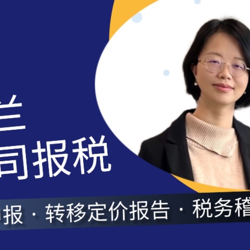 荷兰公司报税全流程指南 | 2025最新政策解读与避坑策略​